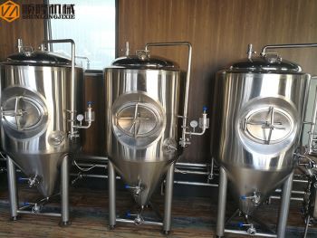 500 l Jacked Micro Beer Fermenter Na prodej